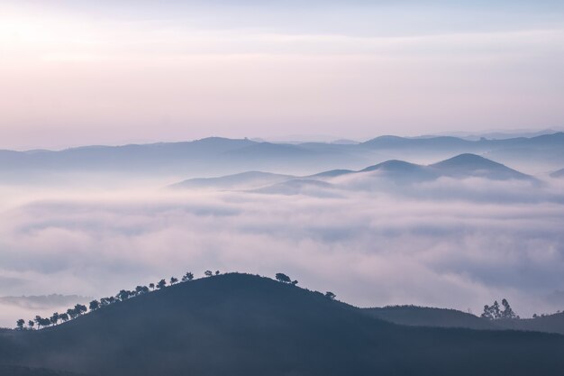 Misty hills en la mañana