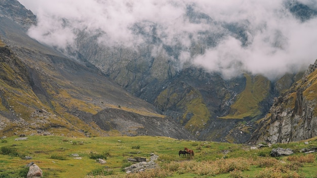 Misty Mountain