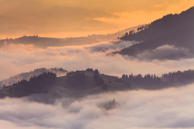 Misty Valley in den Bergen im Morgengrauen Schöne Landschaft