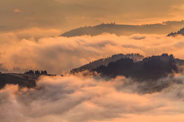 Misty Valley in den Bergen im Morgengrauen Schöne Landschaft