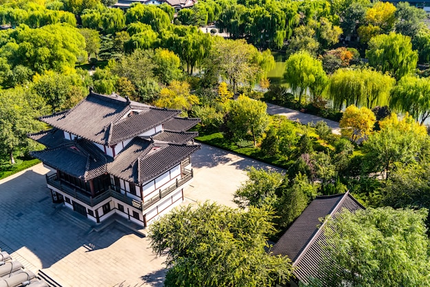 Mit Blick auf die Waldlandschaftsarchitektur