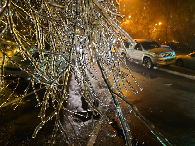 Mit Eis bedeckte Äste entlang einer stark befahrenen Straße oder Straße