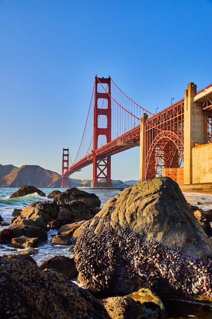 Mit Muscheln bedeckte Felsen am Strand bei Sonnenuntergang mit der Golden Gate Bridge im Hintergrund