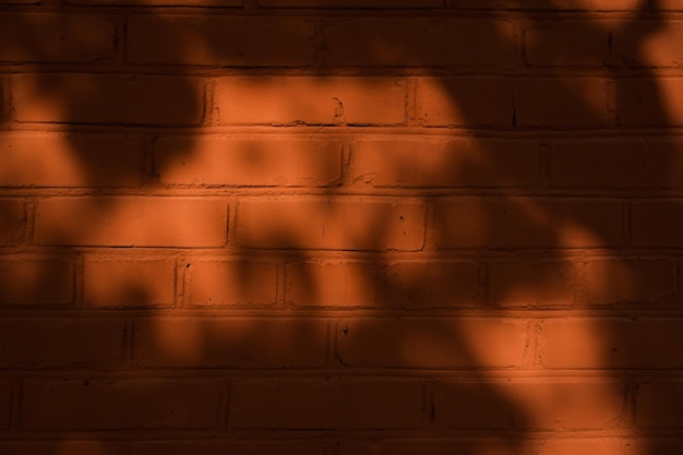 Mit orangefarbener Farbe bemalte Ziegelwand, die in heller Sonne schöne Schatten von Ästen zeigt