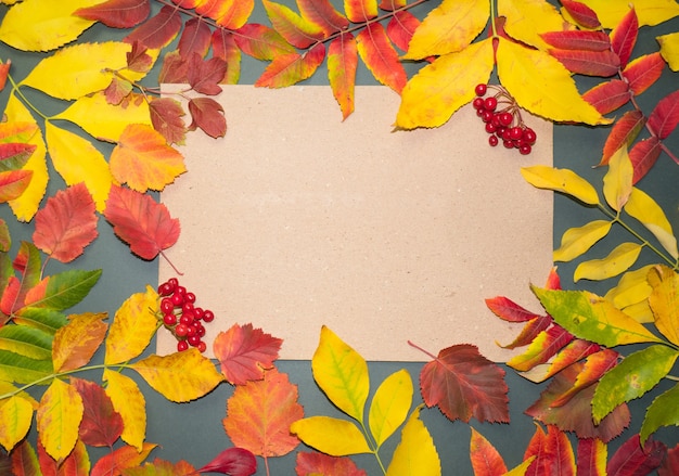 Mit Platz für Text Maple Leaf Textur auf schwarzem Papier Minimal Thanksgiving und Halloween
