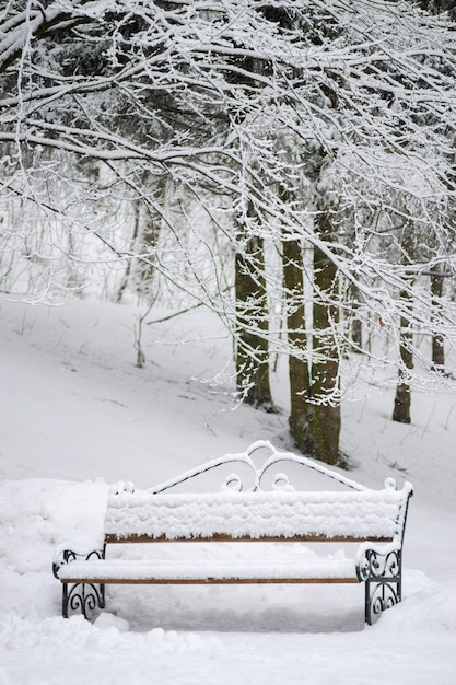 Mit Schnee bedeckte Bank im Winterpark. Winterstimmung Landschaft