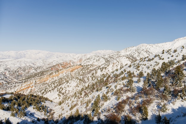 Mit Schnee bedeckte Hügel an einem sonnigen Tag in den Bergen