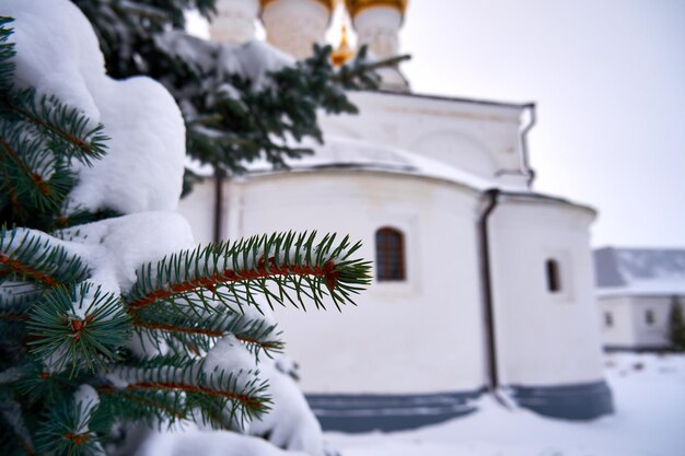 Mit Schnee bedeckte Tannenzweige vor dem Hintergrund einer weißen orthodoxen Kirche