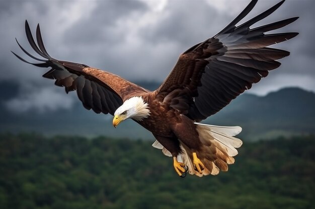 Mit seinen Flügeln gleitet der Fischadler anmutig durch den wolkigen Himmel