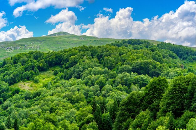 Mit Wald unter blauem Himmel bedeckter Bergrücken Malerische Landschaft von Berghängen und Gipfeln, die an sonnigen Sommertagen mit grünem, üppigem Laub unter blauem Himmel bedeckt sind