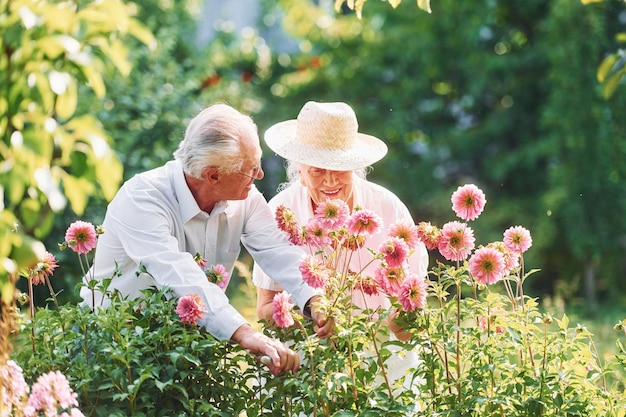 Mit wunderschönen Blumen Schönes älteres Paar ist zusammen im Garten