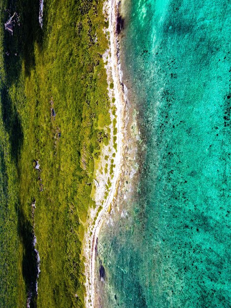 La mitad en la Riviera Maya.