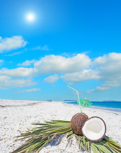 Mitades de coco en hojas de palma junto a la orilla bajo el sol