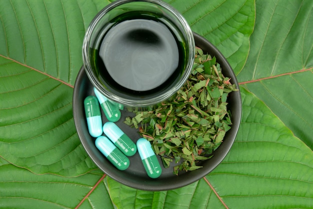 Mitragynina speciosa oder Kratom