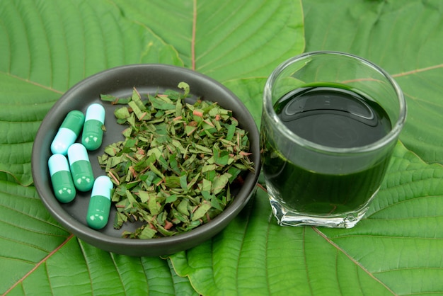 Mitragynina speciosa oder Kratom