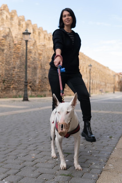 Mitte der 30er Jahre Spanierin, die ihren älteren Pit Bull Terrier in der Steinmauer der Stadt im Hintergrund spaziert