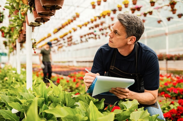 Mitte Erwachsener Arbeiter schreibt Notizen in die Zwischenablage, während er Pflanzen in einem Gewächshaus untersucht