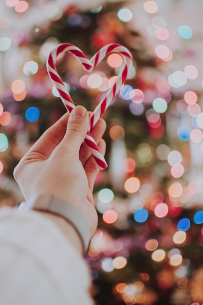 Mittelabschnitt einer Frau, die einen beleuchteten Weihnachtsbaum hält