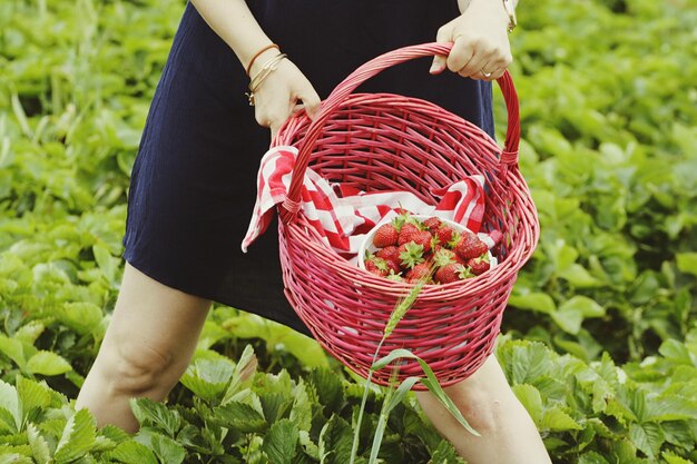 Mittelabschnitt einer Frau, die einen Korb mit Erdbeeren auf dem Feld hält