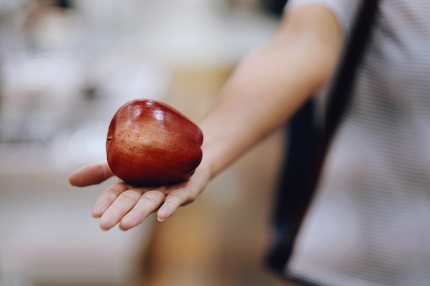 Mittelabschnitt einer Person, die einen Apfel hält