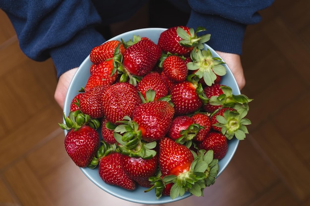 Mittelabschnitt einer Person, die Erdbeeren hält