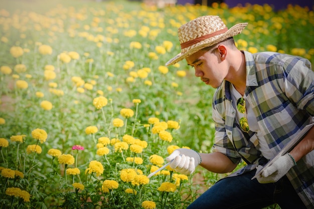 Mittelabschnitt einer Person mit gelben Blumen auf dem Feld