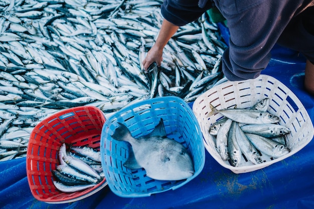 Mittelabschnitt eines Fischers mit Fischen im Hafen