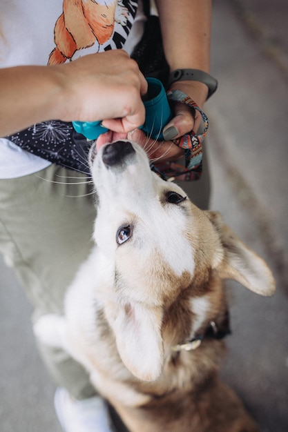 Mittelabschnitt eines Mannes, der einen Hund hält