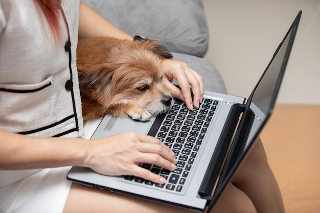 Mittelabschnitt eines Mannes mit Hund