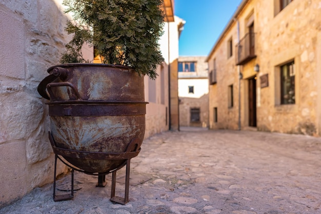 Mittelalterliche Gasse mit Steinhäusern und Eisentopf mit dekorativen grünen Pflanzen Pedraza Segovia