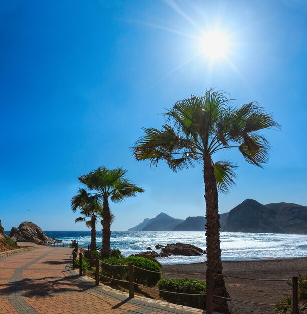 Mittelmeer-Sommerküstenansicht mit Strand, Fußweg und Palmen (Bucht von Portman, Costa Blanca, Spanien).