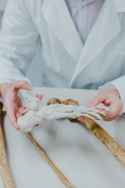 Foto mittelschnitt eines wissenschaftlers, der skelette auf dem tisch hält