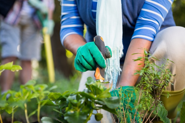 Mittelteil des Gärtners, der Topfpflanzen im Garten pflanzt