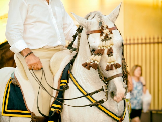 Foto mittlerer abschnitt eines mannes, der auf einem pferd reitet