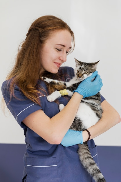 Foto mittlerer schussdoktor, der katze mit beinverletzung hält