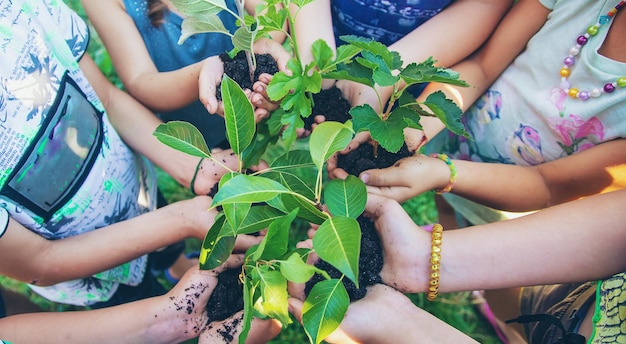 Foto mittlerer teil der gartenarbeit der frau