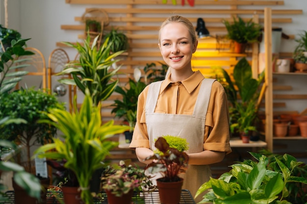 Mittleres Porträt einer lächelnden Floristin in Schürze, die einen Topf mit Soleirolia-Pflanze in den Händen hält, die im Blumenladen steht und in die Kamera blickt