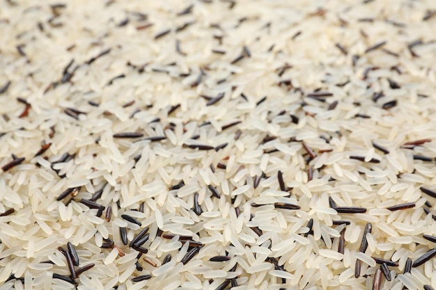 Foto mix of different brown and polished rice as background closeup