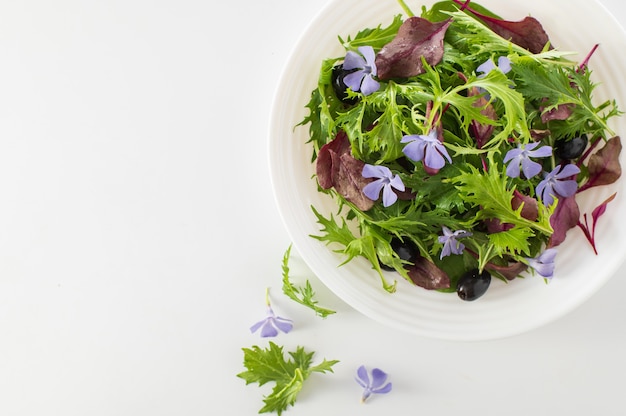 Mix-Salat mit Babyspinat Mizuna-Salat Stiere Blutsprossen essbare Blumen und Oliven