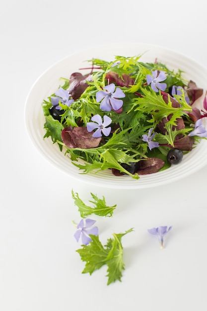 Mix-Salat mit Babyspinat Mizuna-Salat Stiere Blutsprossen essbare Blumen und Oliven