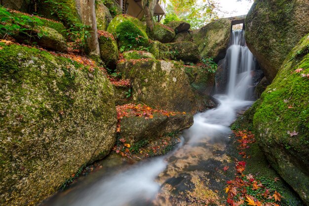 Miyajima, Hiroshima, Momijidani Park