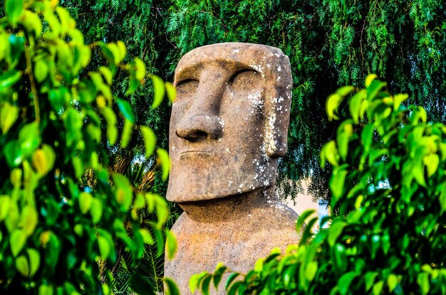 Moai de pie desde la Isla de Pascua