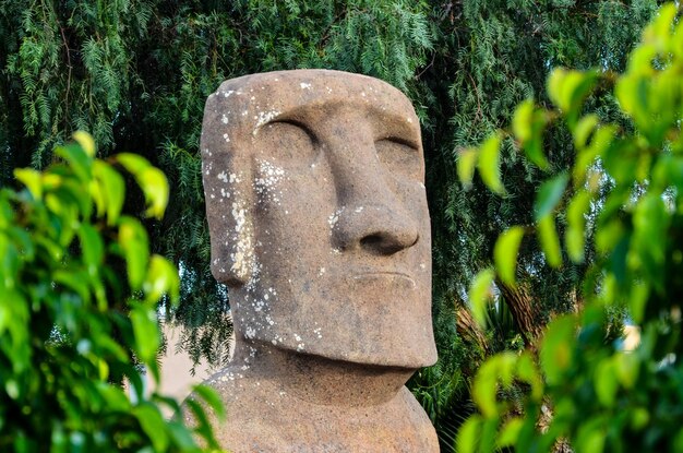 Moai en pie de Isla de Pascua