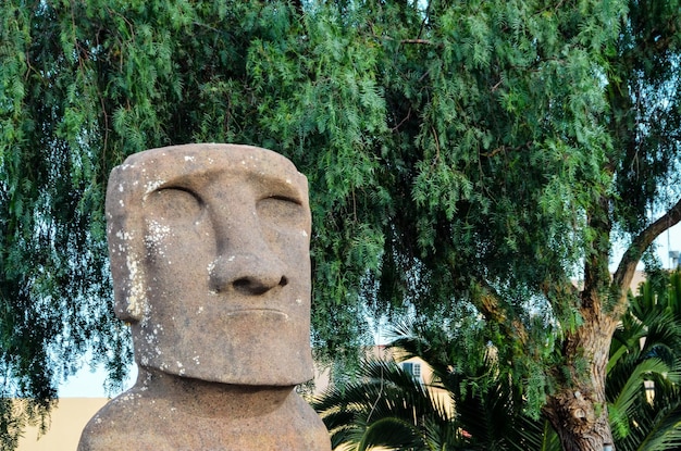 Moai stehend von der Osterinsel, Chile Südamerika