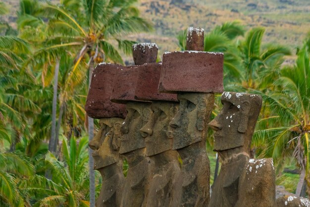 Moais de pie en la playa de Anakena en Isla de Pascua