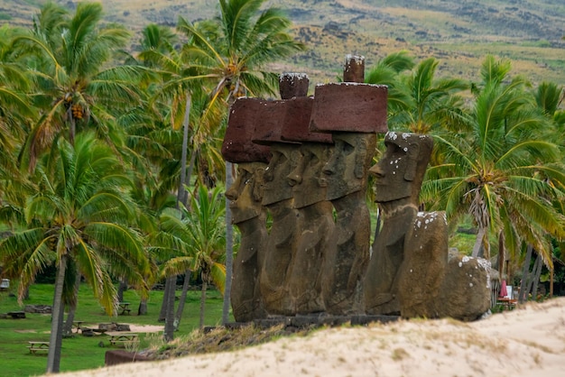 Moais stehen am Strand von Anakena auf der Osterinsel