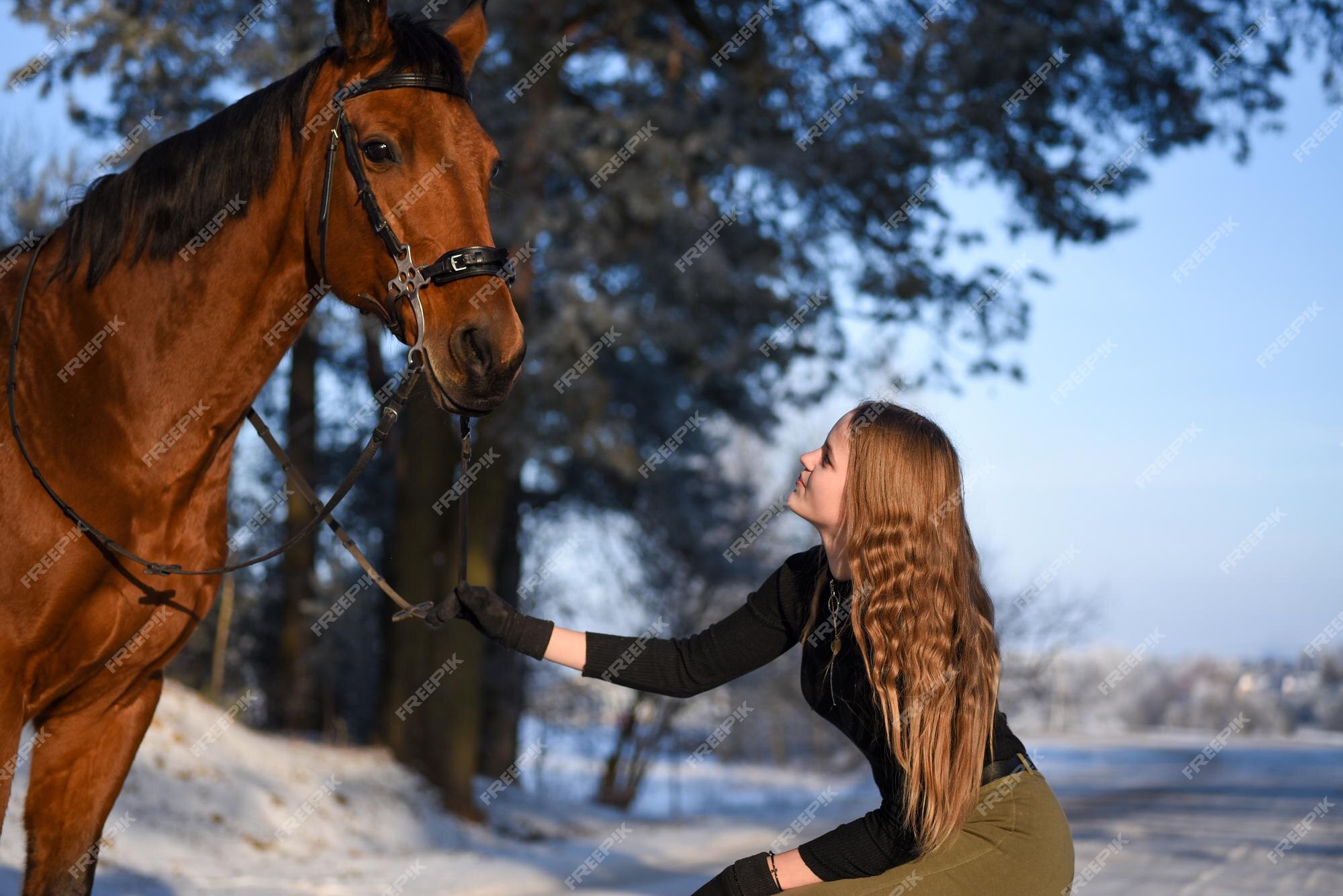 Mulher Frente Para Câmera Sentada Chão Floresta Com Seu Cavalo