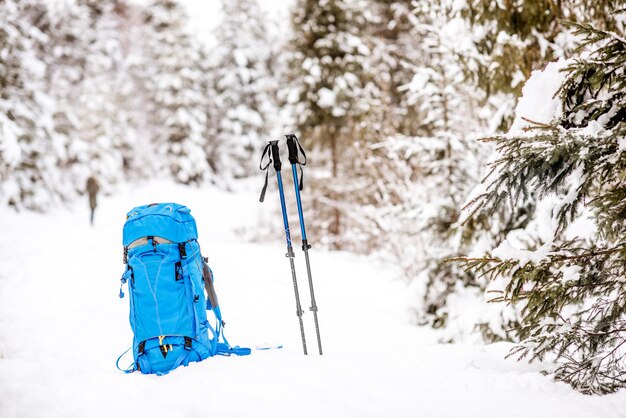 Mochila azul e varas de rastreamento na floresta de abetos nevados. Conceito de caminhada de inverno