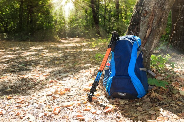 Mochila e bastões de trekking