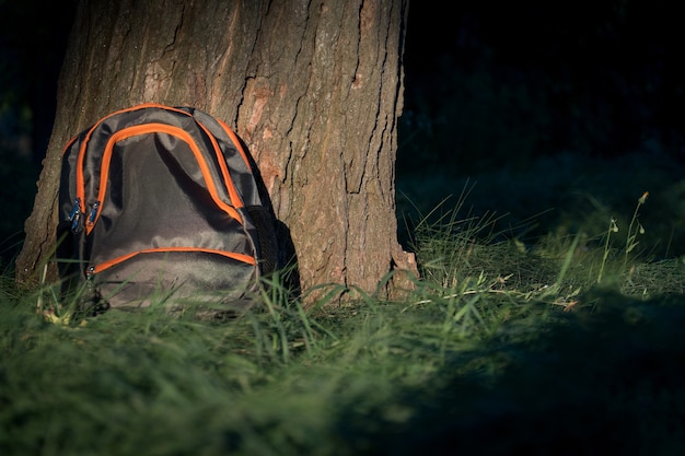 una mochila escolar se encuentra debajo de un árbol. concepto de escuela. bandera